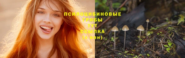 COCAINE Богданович