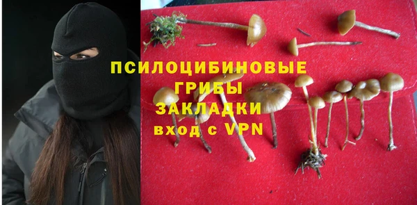 прущий лед Богородск