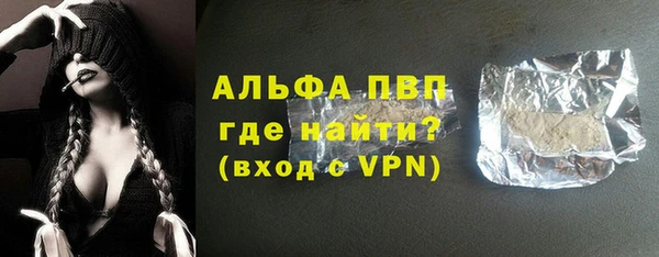 ГАЛЛЮЦИНОГЕННЫЕ ГРИБЫ Белокуриха