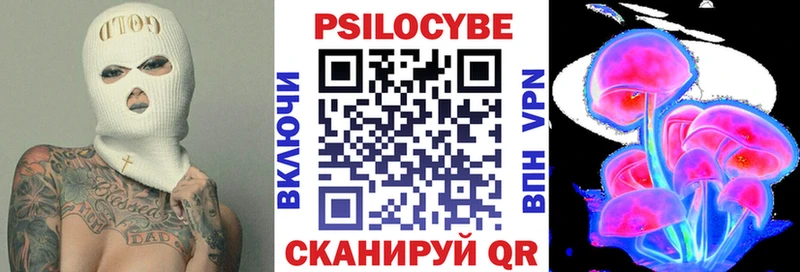 Псилоцибиновые грибы прущие грибы  Дмитриев 