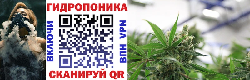 Канабис Bruce Banner  kraken ССЫЛКА  Дмитриев 